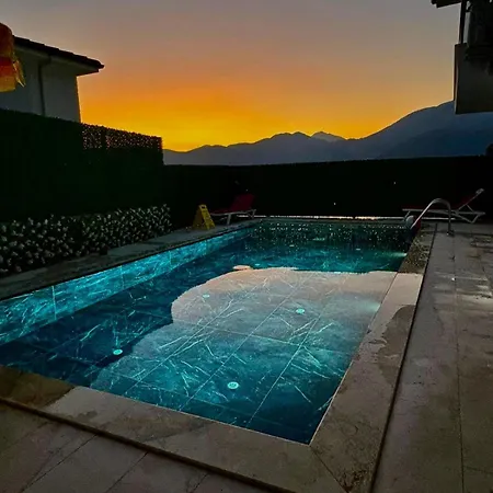 Ari Honeybee Fethiye