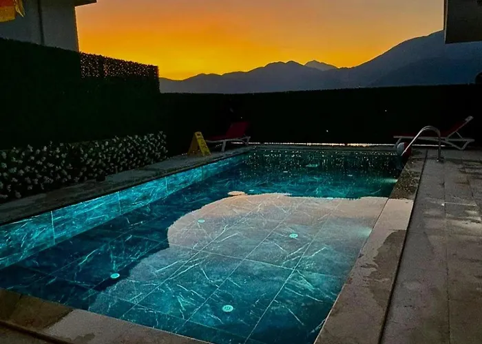 Ari Honeybee Fethiye