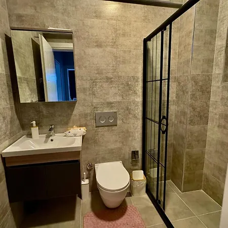 Ari Honeybee 别墅 费特希耶