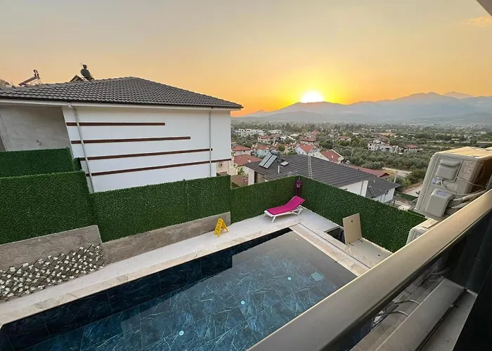 Ari Honeybee Fethiye